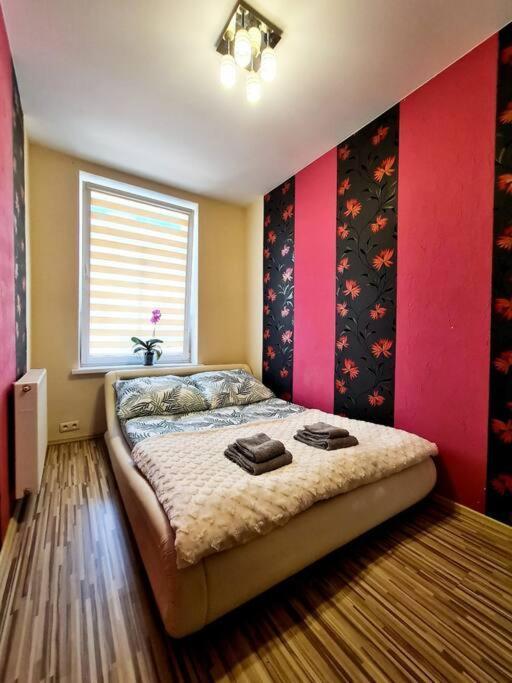 Mikolajki Apartament Miedzy Mostami Buitenkant foto